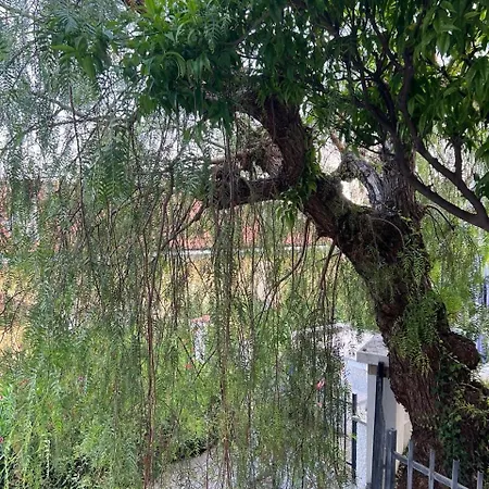 别墅 Lavish Seaside With Garden And Stunning Views